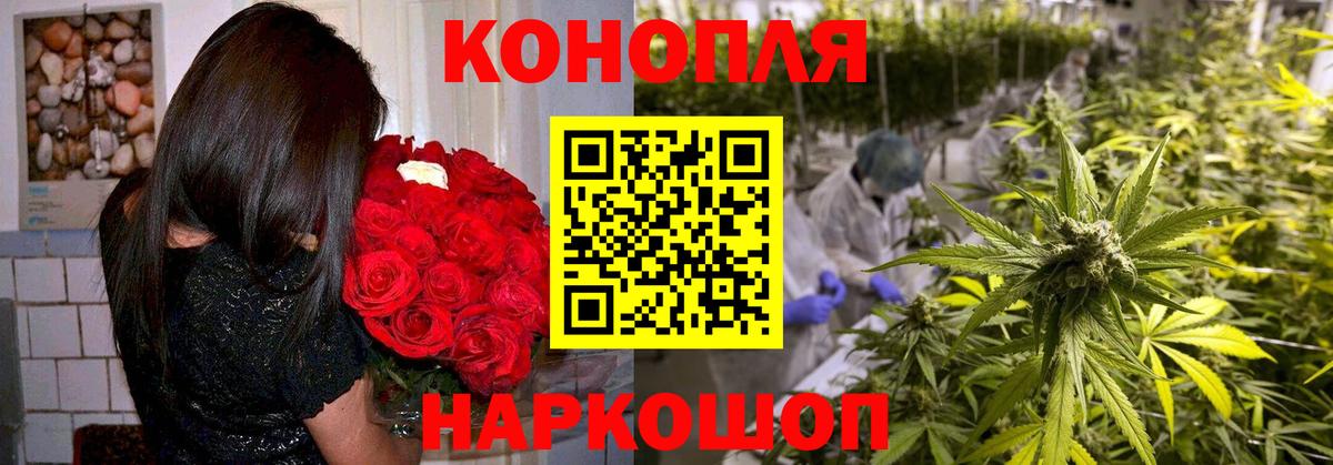 Канабис OG Kush Фролово